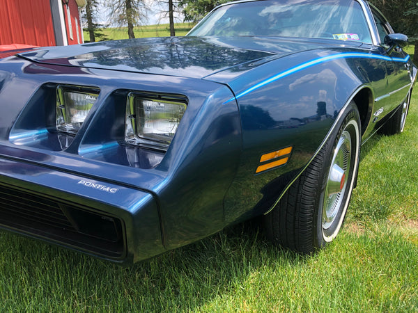 1979 Pontiac Firebird Esprit