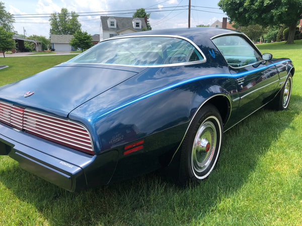 1979 Pontiac Firebird Esprit