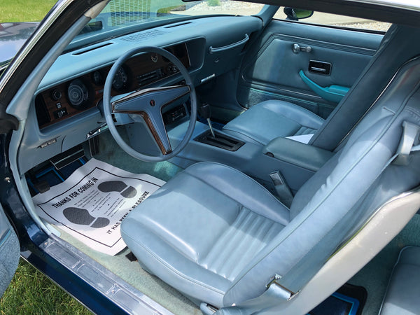 1979 Pontiac Firebird Esprit