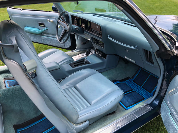 1979 Pontiac Firebird Esprit