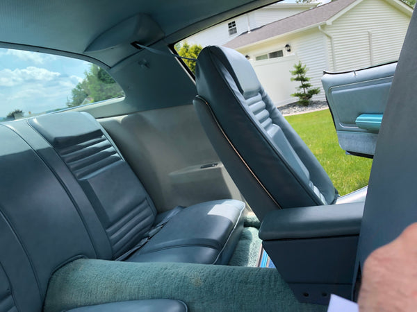 1979 Pontiac Firebird Esprit