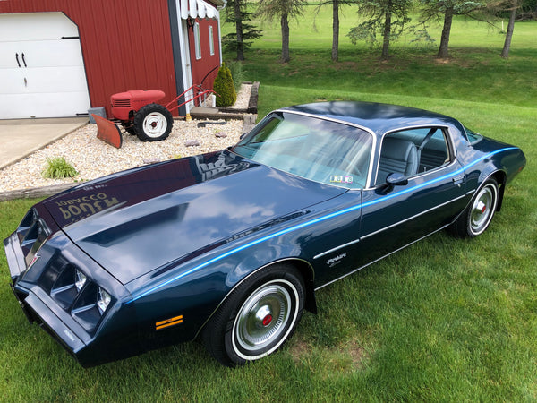 1979 Pontiac Firebird Esprit