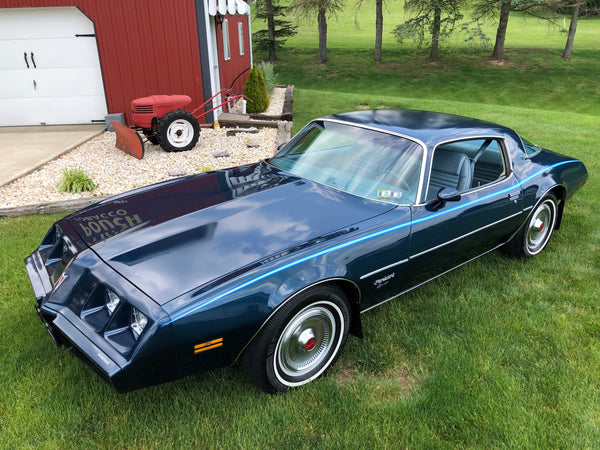 1979 Pontiac Firebird Esprit