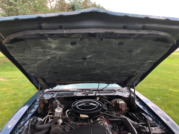 1979 Pontiac Firebird Esprit