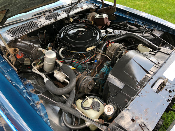 1979 Pontiac Firebird Esprit