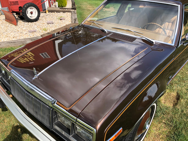 1979 AMC Concord