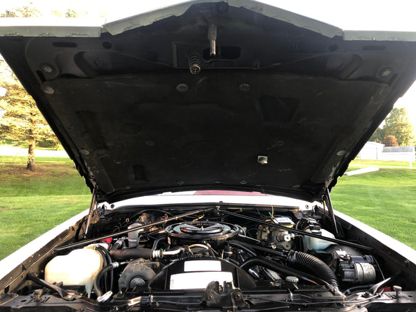1982 Cadillac Eldorado Biarritz