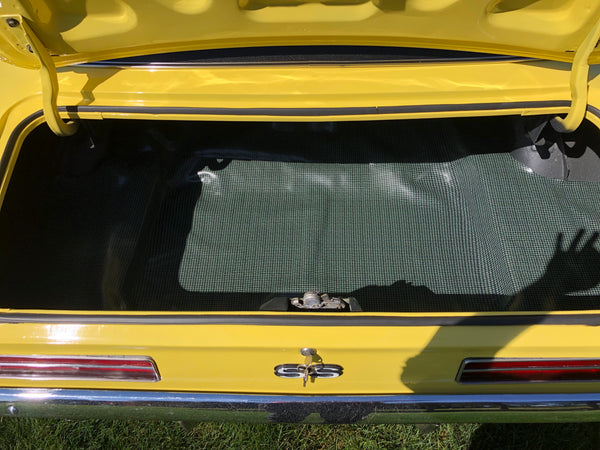 1969 Chevrolet Camaro RS/SS