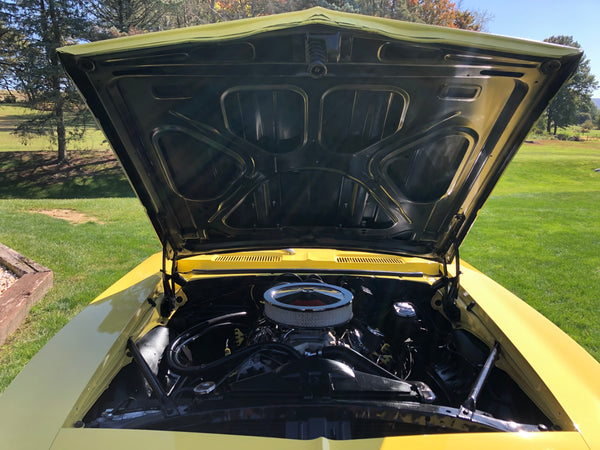 1969 Chevrolet Camaro RS/SS