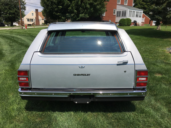 1982 Chevrolet Caprice Classic 9 Passenger Wagon