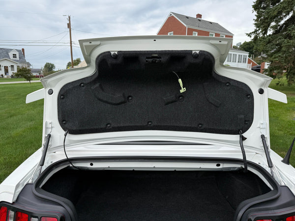 2010 Ford Mustang GT Convertible
