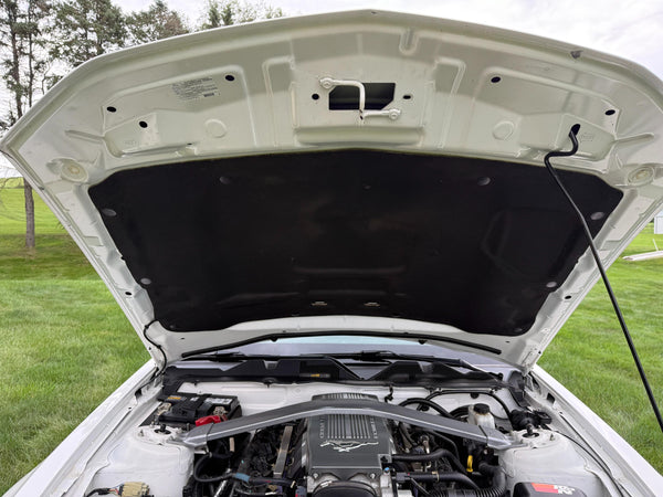 2010 Ford Mustang GT Convertible