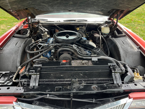 1976 Cadillac Eldorado Convertible