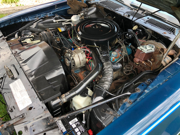 1979 Pontiac Firebird Esprit